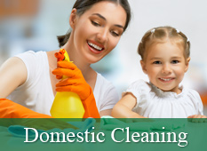 Domestic Cleaning